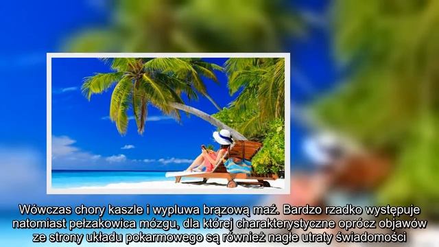 ✅ Czerwonka pełzakowata może dać o sobie znać nawet miesiąc po egzotycznych wakacjach! смотреть онлайн