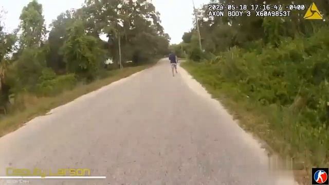 Помощник Шерифа Бьет Электрошоком Убегающего Водителя Во Время Пешего Преследования смотреть онлайн