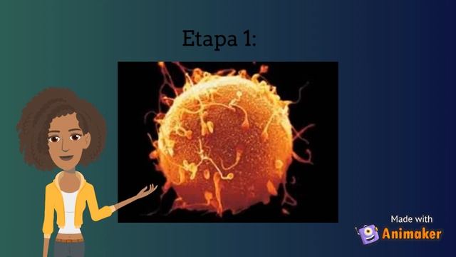 Embrion y Feto 10°F смотреть онлайн