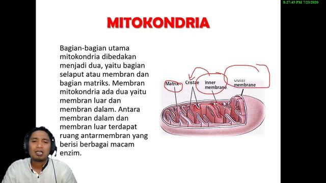 Struktur dan Fungsi Sel #Part1 || Materi Biologi Kelas 11 MIPA Semester 1 2020 смотреть онлайн