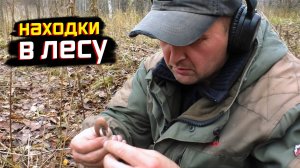 Таинственная деревня Петровских времён: нашли старинные монеты!.