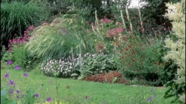 Sh Fuad Amin Daud || Masaakiinta Ayay Cuntada Beerta Aabahood Udiideen Allaah ayaa abaal Mariyay 💯 смотреть онлайн