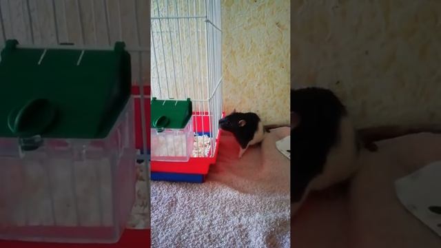 Юджин смотреть онлайн
