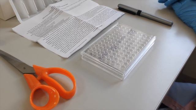 9 Определение зон контролей смотреть онлайн