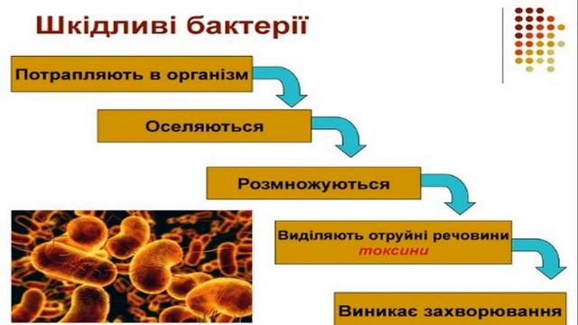 Урок природознавства, 3 клас, тема: "Бактерії", вчитель Димова Л.В. смотреть онлайн