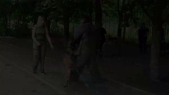 Нападение стаи собак - Используем электрошокер, ультразвук и оружие смотреть онлайн