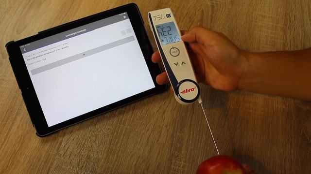 Ebro RmoniWeb bluetooth thermometer (TLC750BT) смотреть онлайн