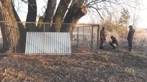 Осенние сюжеты деревни Старое Серёжкино