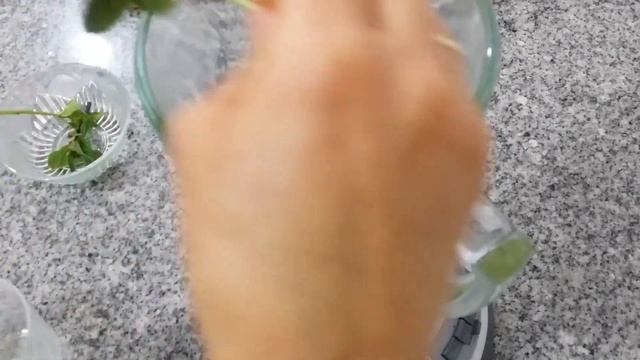 Lemon Juice with Ginger & Mint смотреть онлайн