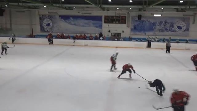 ХОККЕЙ АХЛ Омск 