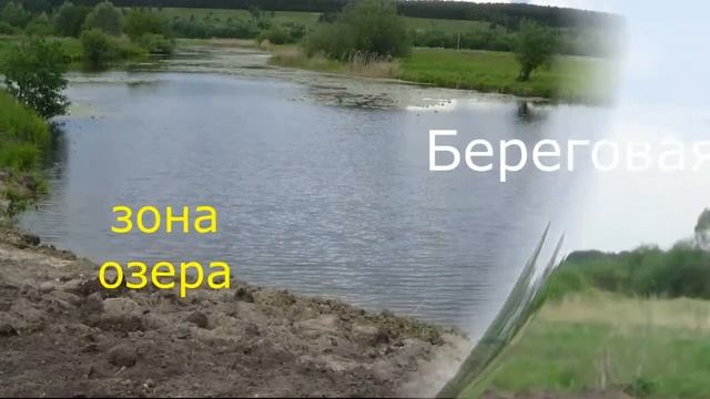 Наше озеро в 2018 году
