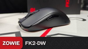 Обзор Zowie FK2-DW. 20к за 4к = 🤪 или 🔥?