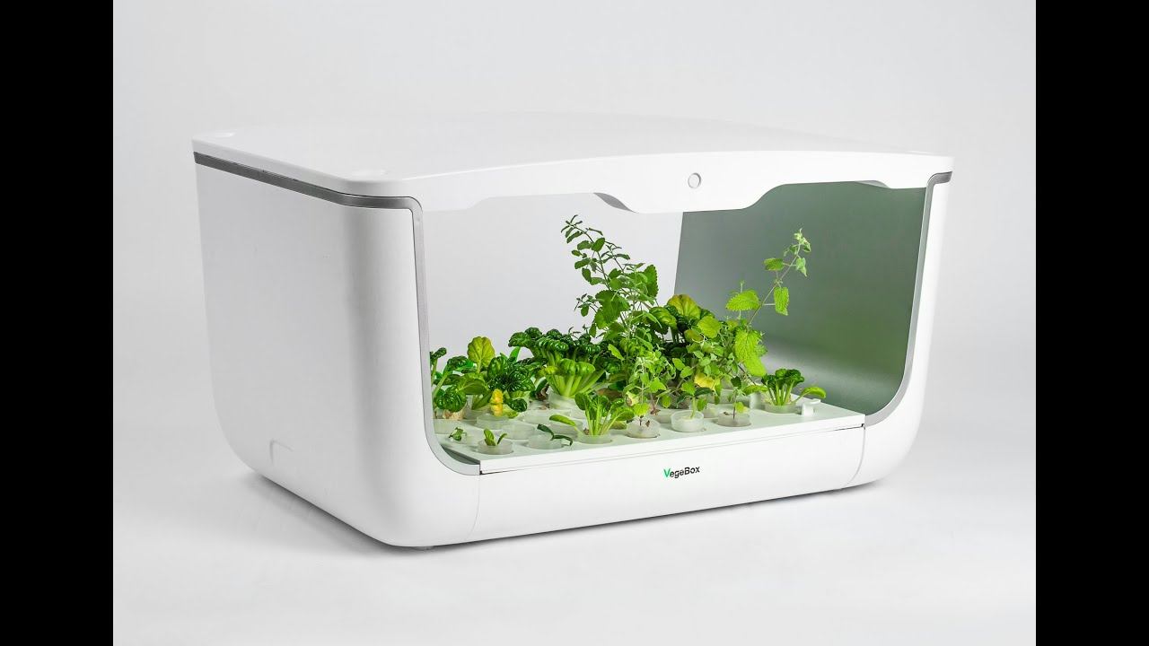 Домашняя cадовая ферма Vegebox HBOX смотреть онлайн