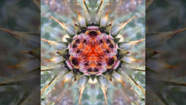 Soft Molecules смотреть онлайн