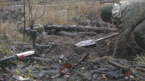 Что можно найти на лесном стане?