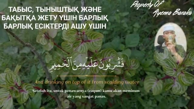 Коран смотреть онлайн