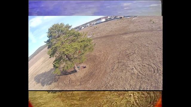 Весенние полетушки в поле