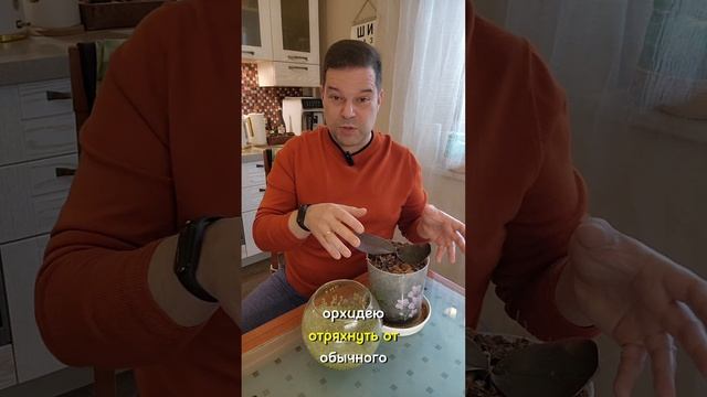 Каково орхидее в аквагрунте? 🙈 Опытным путём проверил 