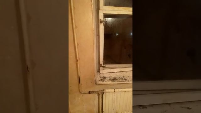 Выдали жилплощадь [Часть 2] смотреть онлайн