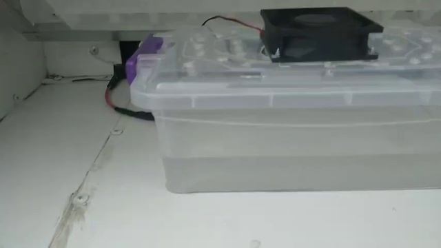 11 февраля 2021 г. смотреть онлайн