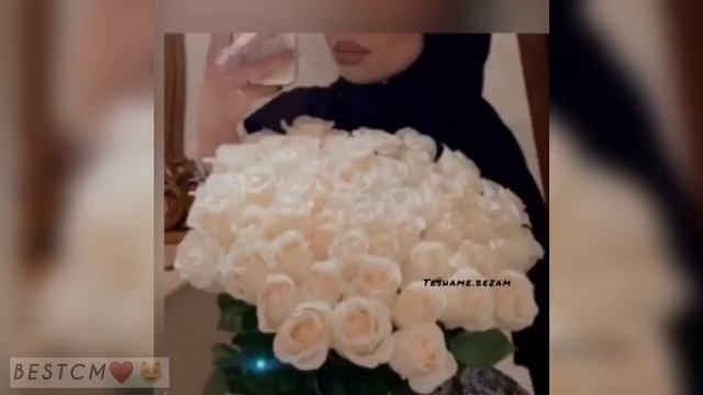 Сунам Хьо Гира Тахна Кхечунца Лаьтташ