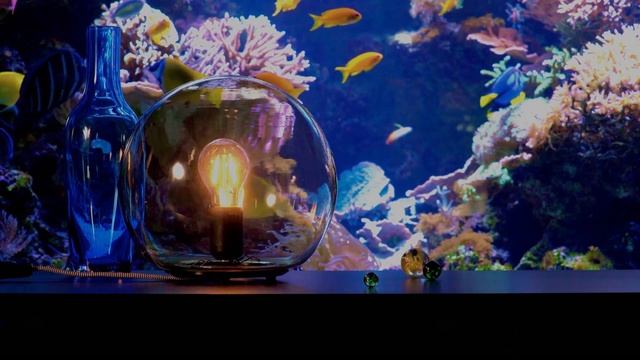 Light from a time gone past смотреть онлайн