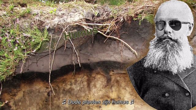 Graaf Geo - Bodem смотреть онлайн