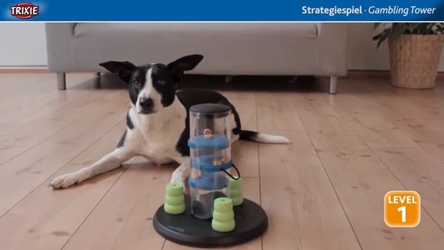 Trixie Dog Activity Gambling Tower смотреть онлайн