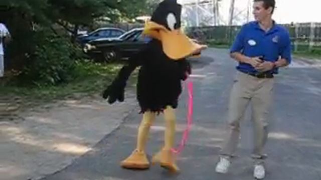 Daffy Duck and a pink hula hoop смотреть онлайн