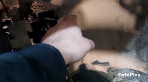 сальник  коленвала форд 1.8 ккда TDCI. замена оригинала.