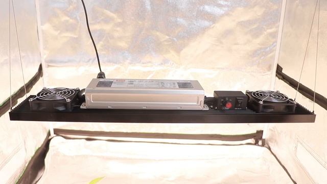 Samsung LM301H EVO 320W Quantum V4 Tech LED Bar Full Spectrum Growing Light UV IR ON/OFF Meanwell D