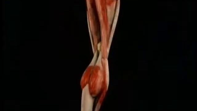 БИОМИМЕТИКА - УМНЫЕ МАТЕРИАЛЫ смотреть онлайн