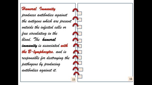 IMMUNOLOGY смотреть онлайн