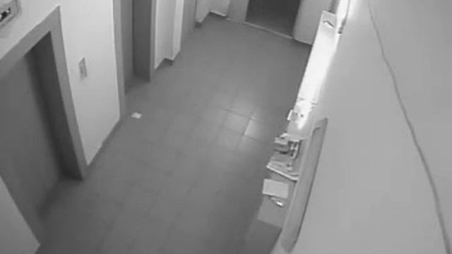 Ниндзя-черепашка уехал на 12 этаж смотреть онлайн