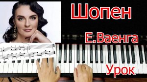 Шопен Ваенга Разбор На Пианино Для Начинающих