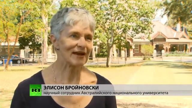 НОВОСТИ 29 11 14 В Австралии не все согласны с решением властей вернуть войска в Ирак смотреть онлайн