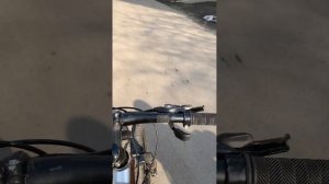 суета на велике оперстайл с тимохой