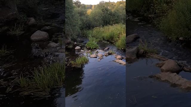 Плотина. Тверская область смотреть онлайн
