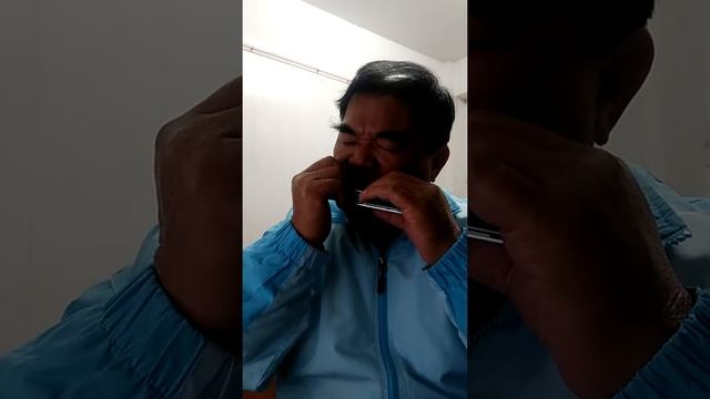 （午夜夢迴時）木舞山人謝欽錠口琴吹奏！ смотреть онлайн