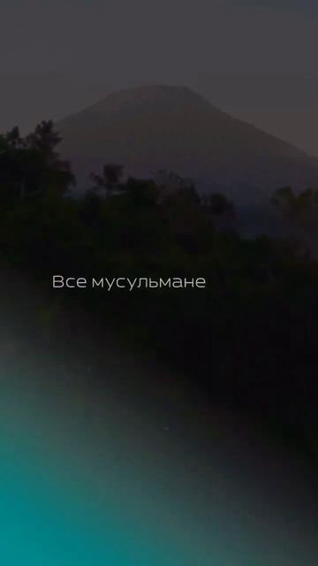 СПОДВИЖНИКИ ПРОРОКА МУХАММАДА БЫЛИ ОЧЕНЬ МУДРЫМИ #сподвижники #сахабы смотреть онлайн