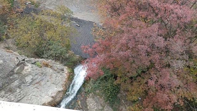 2 - е класс. Прогулка в Ботаническом Саду. Тбилиси 2023