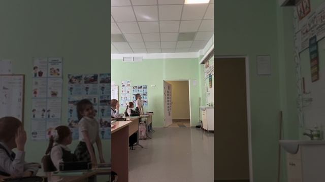 окружающий (почему мы любим кошек и собак?)