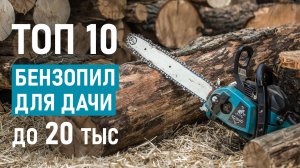 ТОП-10 цепных бензопил от 5 до 20 тысяч рублей. Лучшие бензопилы 2025!