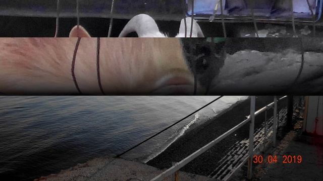 №180. 5-ый и 6-ой дни СЛАЙД-ШОУ