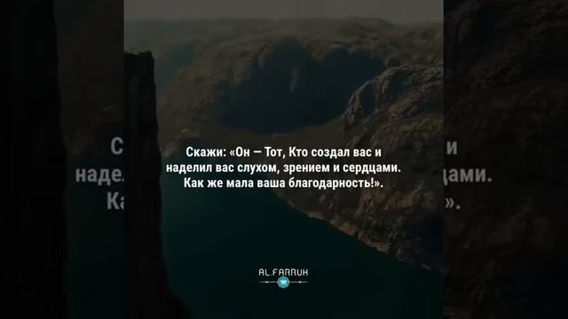 Omar Hisham смотреть онлайн