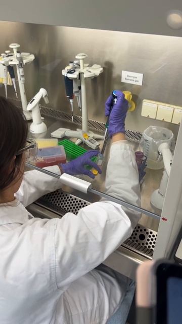 We’re almost done with our immunology labs 💪 смотреть онлайн