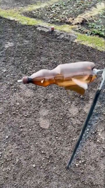 МЕТАОРГАНИКА