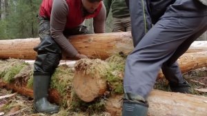 СТРОИМ ИЗБУ В ТАЙГЕ СВОИМИ РУКАМИ. Сезон 1