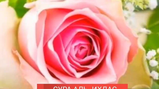 Сура АЛЬ -ИХЛАС смотреть онлайн