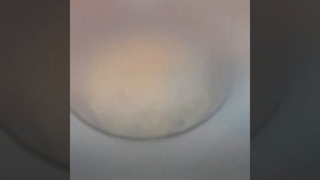 Prezident peraşkisi(президентские пирожки) смотреть онлайн